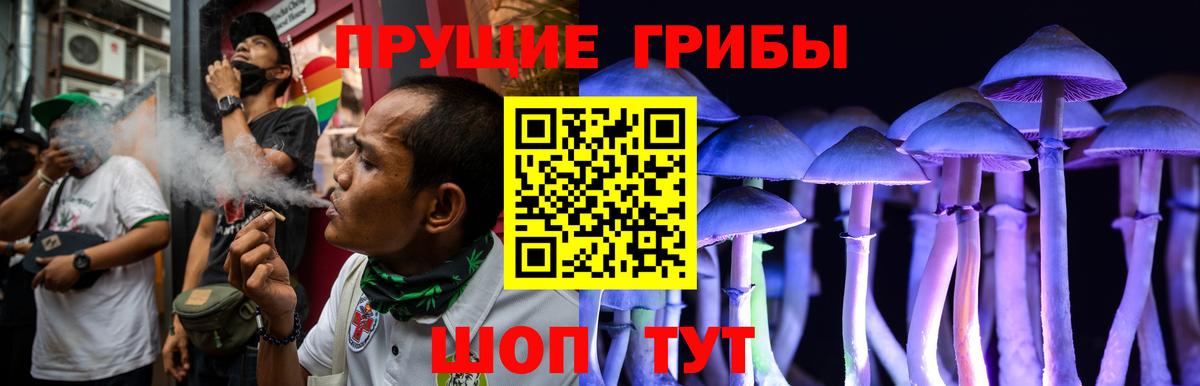 Псилоцибиновые грибы Psilocybine cubensis  Вход с VPN  Холмск  Псилоцибиновые грибы мицелий 