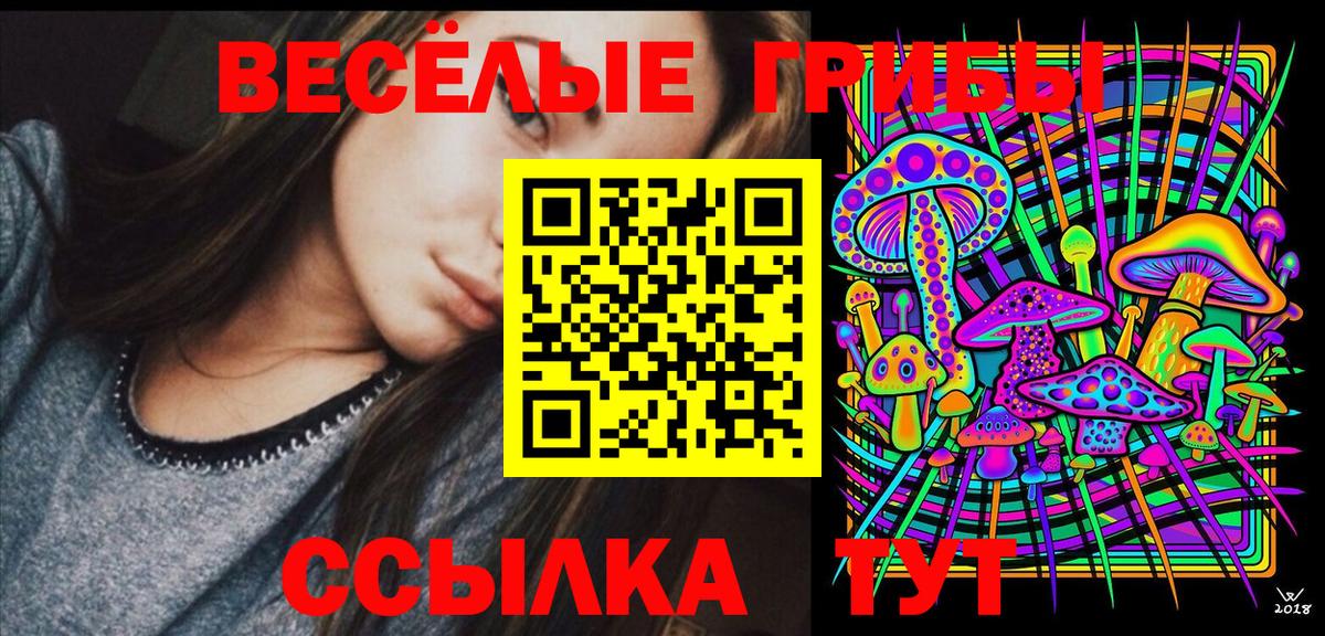 Галлюциногенные грибы Psilocybine cubensis Холмск